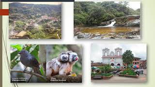 Asesinato Del Teniente Brayan Bello Serrano En Anorí Antioquia Por Terroristas De Las Farc En 2025