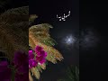 محمود تركي جمالك قاتل حالات اكسبلور شير تصميم فيديوهات ترند لايك تيك توك حالات واتس محمود تركي جمالك قاتل حالات اكسبلور شير تصميم فيديوهات ترند لايك تيك توك حالات واتس