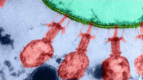 First AI Created Viruses Are Dividing In Cells 