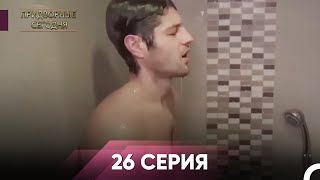 :   26 