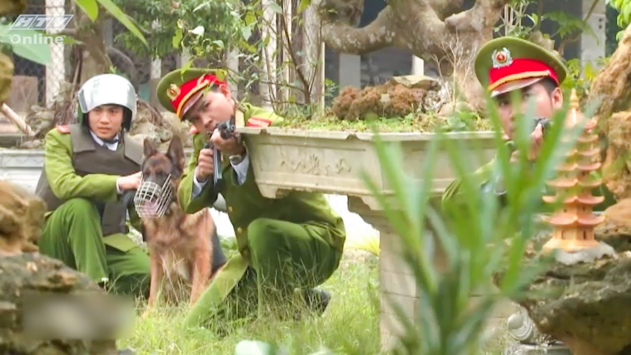 100 CHIẾN SĨ CÔNG AN bao vây CĂN CỨ LÃO TRÙM đang lẩn trốn | Phim Việt Nam | Phim HTV
