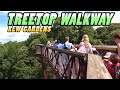 KEW GARDENS - TREETOP WALKWAY - England 4K