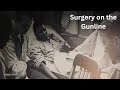 Performing Surgery While On the Gunline