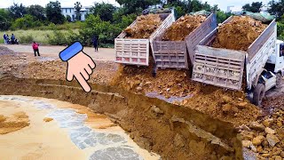 Scary Machinery Work!! Dump Trucks  25T Soil Mud Move Flood And Bulldozer SHANTUI Good Operation