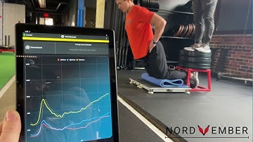 Nordic Curl on a Force Plate | Hawkin Dynamics