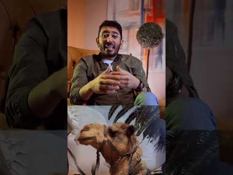 تصدق أن الإبل أو الجمال يقدروا يخدعوا صاحبهم تعالوا نعرف مع القيصر محمد طارق حكاية الابل وكذبهم