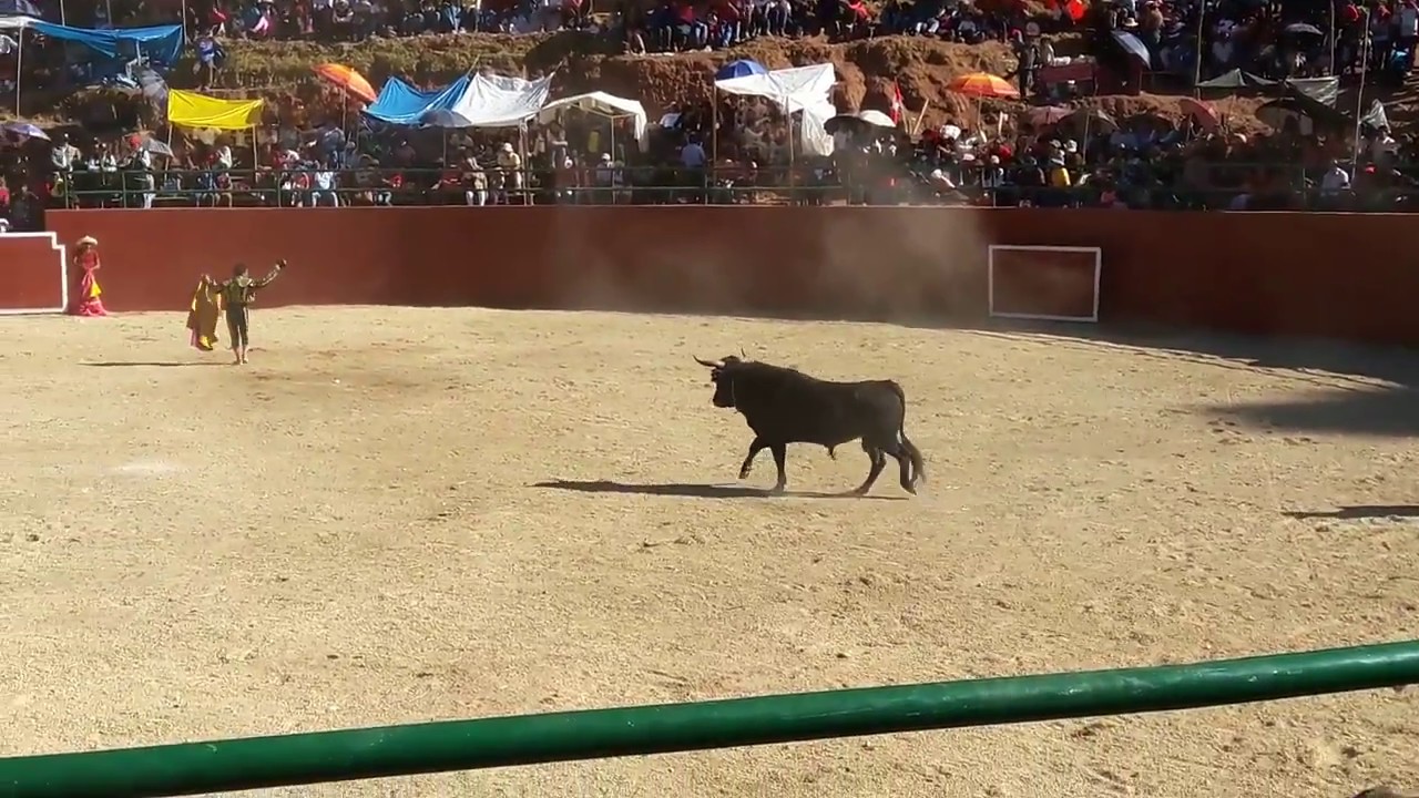 Huaccana Corrida De Toros 2017 Youtube