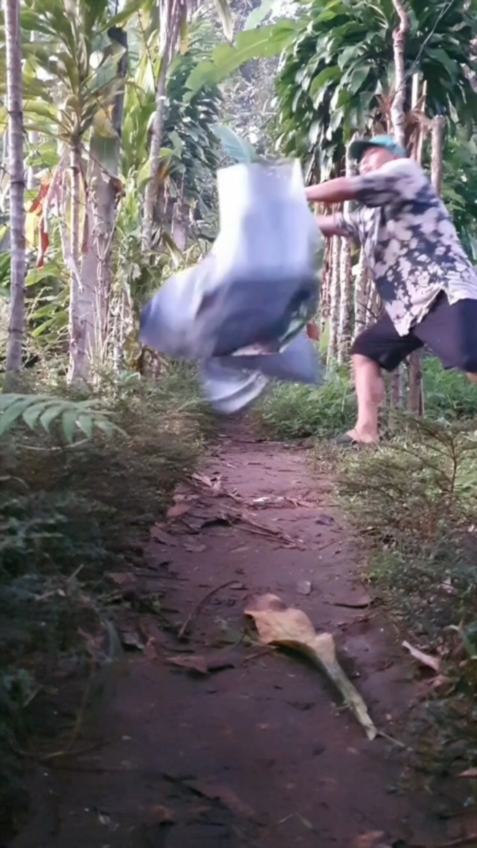 Forest magic #entertainment #magic