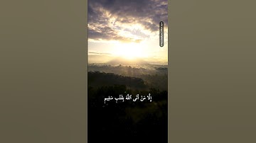 كمية راحة نفسية مش طبيعية - إكتب شيئ تؤجر عليه في التعليقات | سورة #الشعراء - القارئ #أحمد_النفيس