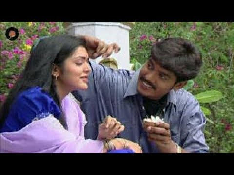 gemini tv chakravakam serial