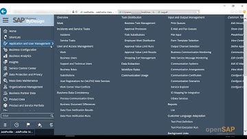 openSAP byd8 Week 2 Unit 3 WSCO Video