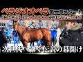 「べラジオオペラ」～第二章、開幕～社台スタリオンS種牡馬展示会2026に独占密着【ベラジオch】