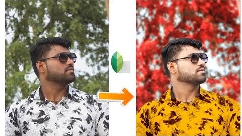 Snapseed Background Color Change Photo Editing || Best Color Effect Photo Editing In Android App