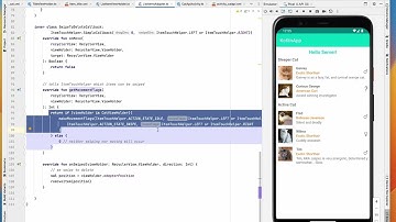 How to remove items in RecyclerView by Swiping under 2 mins