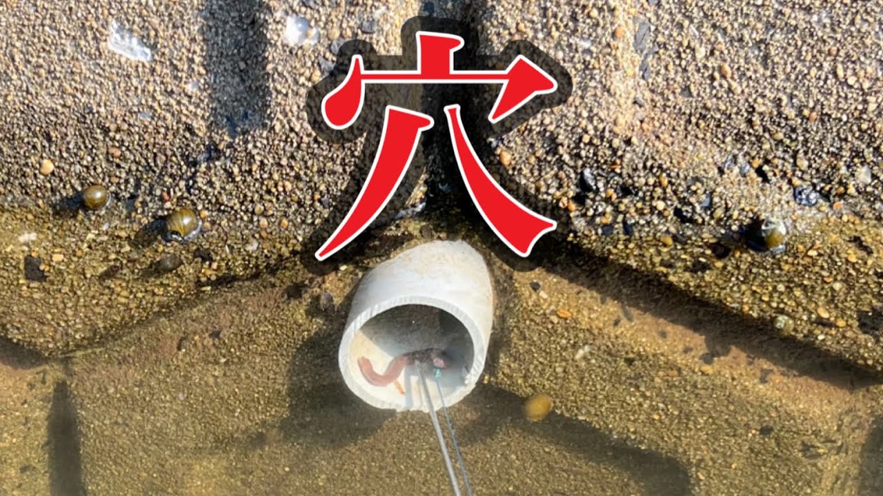 穴の中にミミズを入れると。。。。