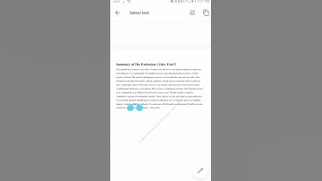 focus on comprehension 4 summary 2,3,4,5.