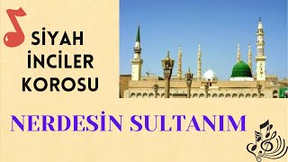 NERDESİN SULTANIM İlahisi, Siyah İncilerden Resimi