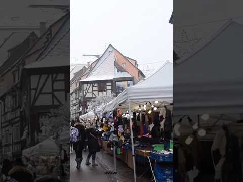 Discover Colmar's Enchanting