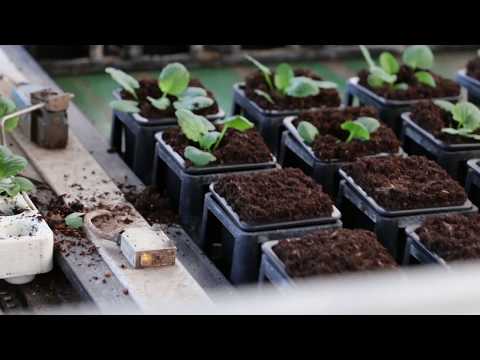 L'agriculture High Tech - Horticulture