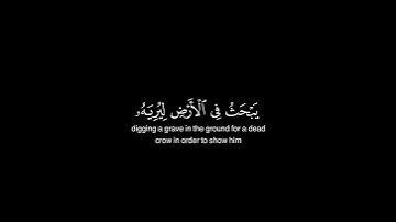 فَبَعَثَ اللَّهُ غُرَابًا | كروما قرآن كريم | محمد صديق المنشاوي شاشه سوداء