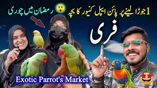 Exotic Parrots \& Rare Birds Market 2024 Latest Video in Urdu Hindi || Lalukhet exotic market updates