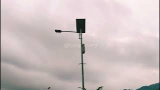 video cinematic 30 detik|pemandangan sawah di sore hari