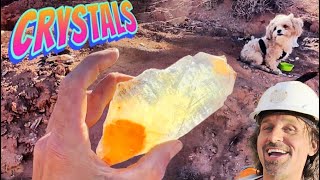 These GOLDEN Selenite Crystals will Rock You!