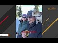 Stray cat joins couple for anniversary road trip