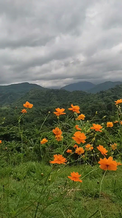 Song For Anna - Richard Clayderman