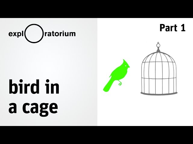 What's an afterimage? Experience it for yourself - Science Snacks activity