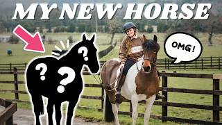 I Have a New Horse!
