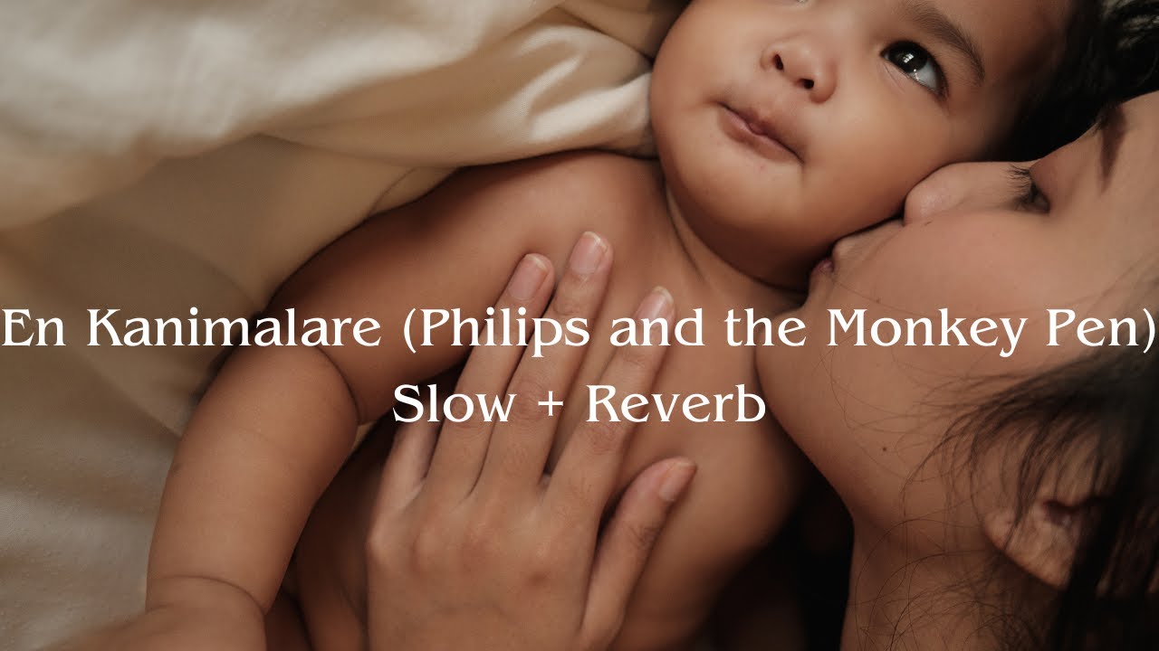 En Kanimalare [ slow + reverb ] | Philips and the Monkey Pen | - YouTube