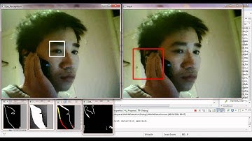Mobile Phone Usage Detection