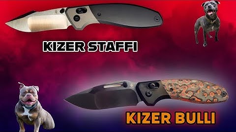 Two Mean Blades To Choose From!! #edc #kizerknives #knives 