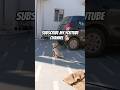 Labrador puppy barking 🐶#ytshorts #labrador #explorepage #lebradorpuppy #shortvideo #viralshort #dog