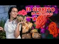 El secreto de mis rosas🌹🌹no le digas a nadie 🤔😉🤫