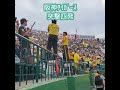 20240609 ライトスタンド下段から【#突撃四発】 #shorts 阪神タイガース 4連 4連発@阪神甲子園球場・ライト外野 日本生命セ・パ交流戦