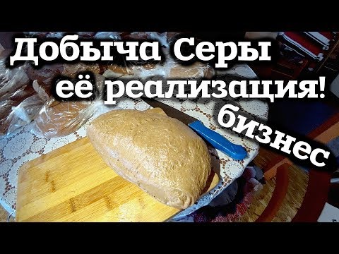 Добыча СЕРЫ и её Реализация! Сера лиственницы, живица!