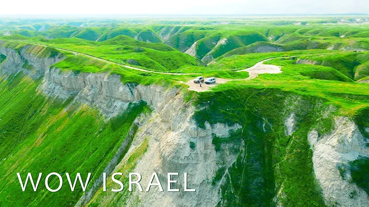 ISRAEL. After 2,000 years, a Date Plantation has RISEN from the Dead! Jordanian Border