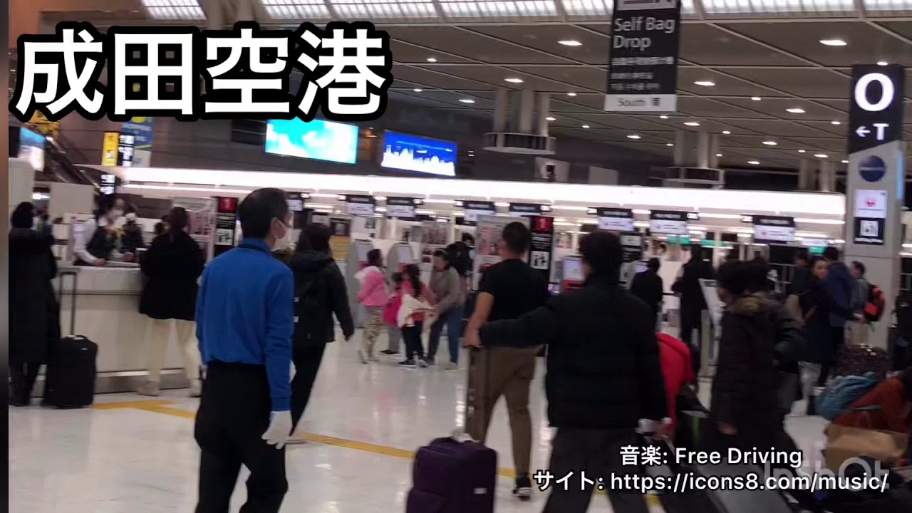 コロナウィルス 成田空港内の様子 おまけ 警察官の荷物検査 中国武漢新型肺炎 Youtube