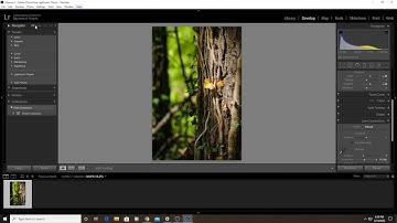Quick defringe color fringe CA chromatic aberration removal Lightroom CC