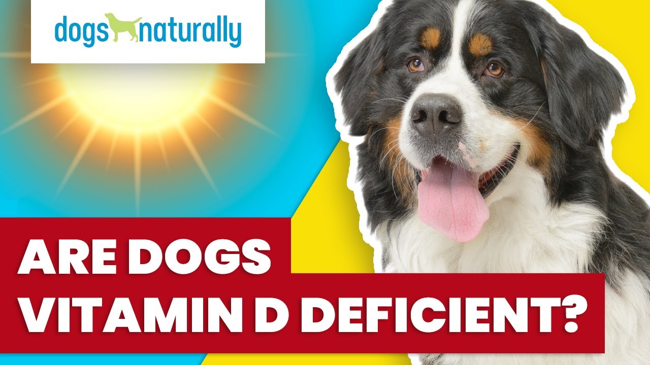 what causes vitamin d deficiency in dogs