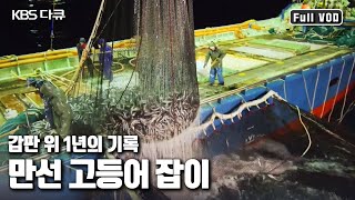 물 반 고등어 반! 만선 고등어잡이 밀착 취재 | 해양특별기획 고등어 1부 “만선 고등어 잡이 1년의 기록” (KBS 141105 방송)