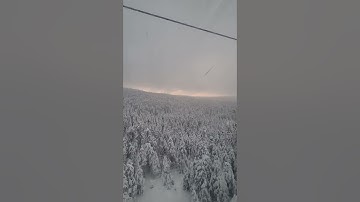 ابداع القارئ أحمد النفيس وهو يحاكي الشيخ محمد صديق المنشاوي رحمه الله