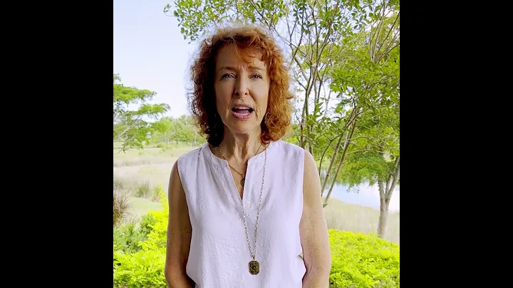 Sue Ryan - Speakers School Testimonial