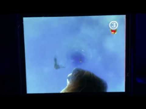 Finding Nemo righteous VHS version