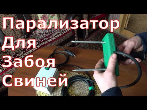 Как сделать парализатор для забоя свиней