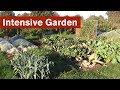 Intensive Garden Introduction