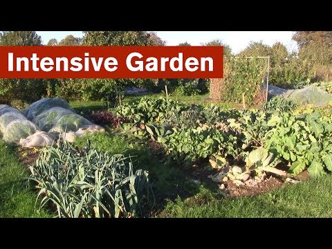 Video: Biointensīvā dārzkopība - kā ieaudzēt biointensīvu dārzu