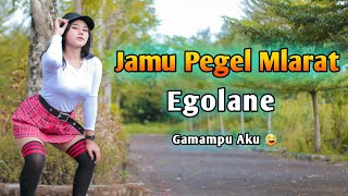 DJ Jamu Pegel Mlarat Campursari Full Bass Slow Remix Terbaru class=